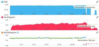 ESD Ausdauer HIIT Lauf Büchen